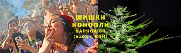 гашик Белоозёрский