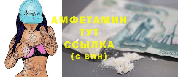первитин Богданович