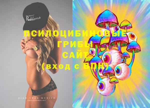 первитин Богданович