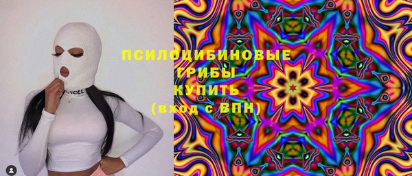 первитин Богданович