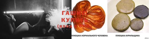 дмт Богородицк