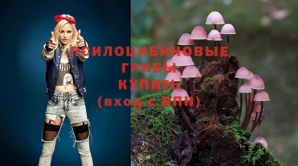 дмт Богородицк