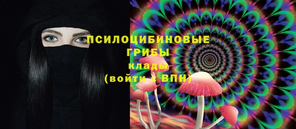 первитин Богданович